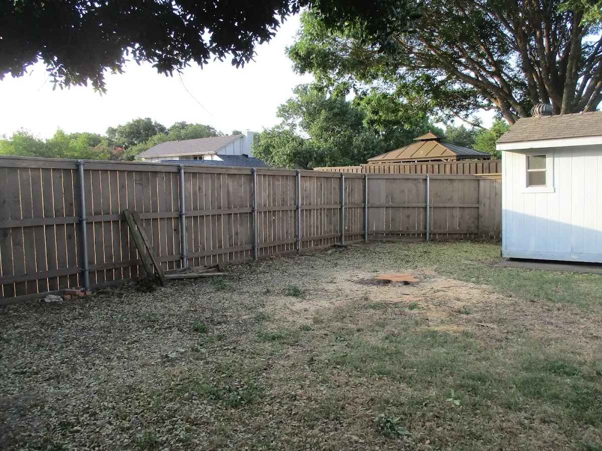 Cleared yard after professional tree removal in Deerfield Beach